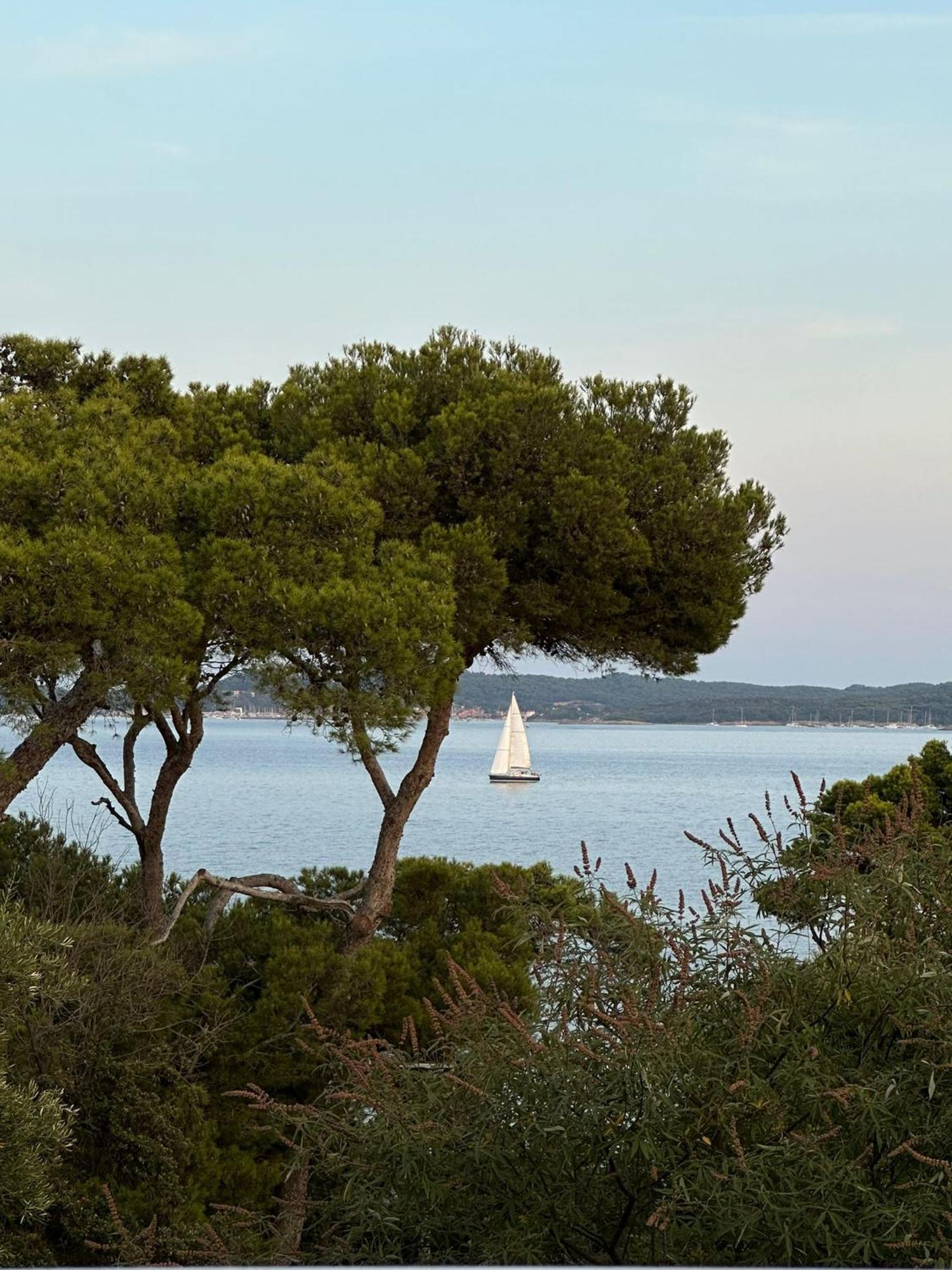 L'Instant Plage - Vue Mer - Bord De Plage - La Capte - Cote D'Azur Hyeres Exterior photo